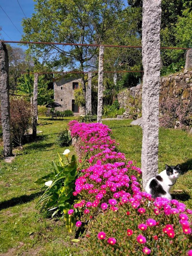 Quinta Da Chanca Paredes de Coura Ngoại thất bức ảnh