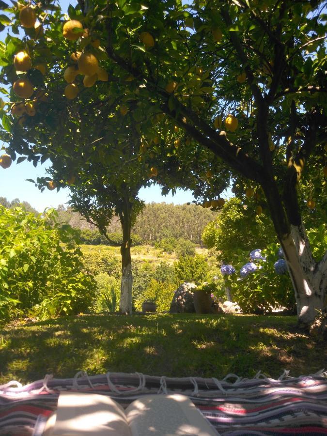 Quinta Da Chanca Paredes de Coura Ngoại thất bức ảnh