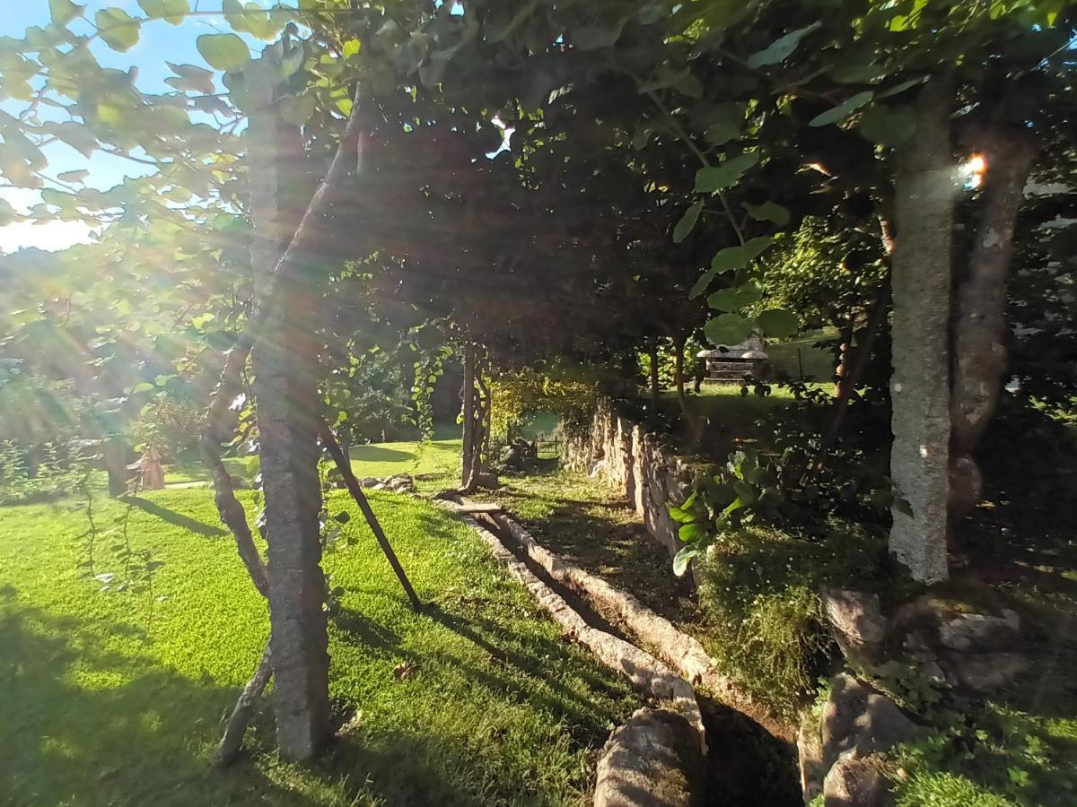 Quinta Da Chanca Paredes de Coura Ngoại thất bức ảnh