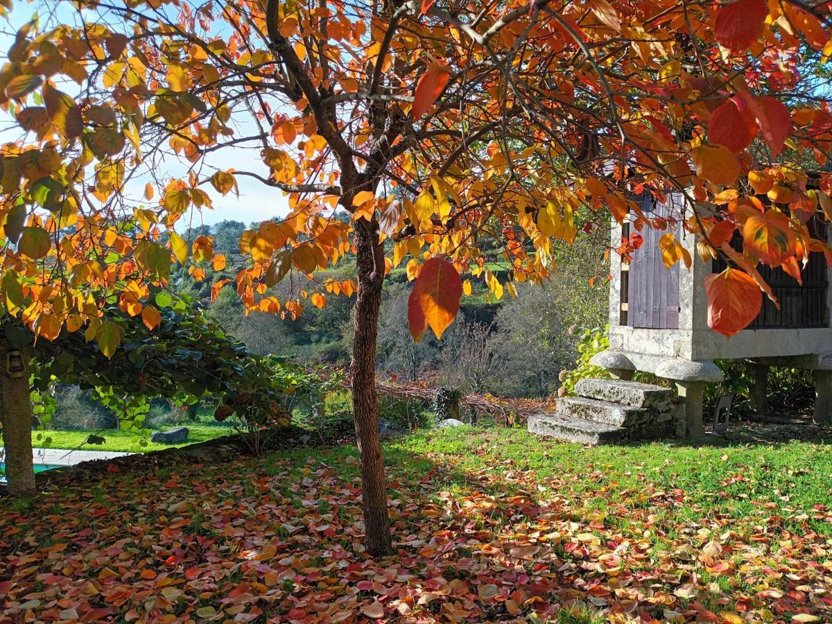 Quinta Da Chanca Paredes de Coura Ngoại thất bức ảnh