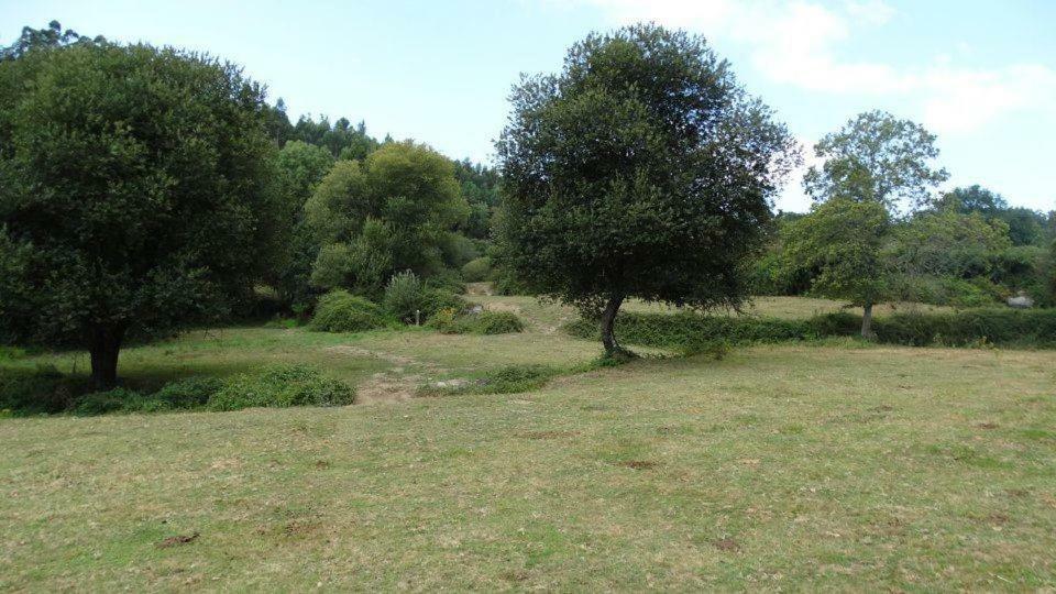 Quinta Da Chanca Paredes de Coura Ngoại thất bức ảnh
