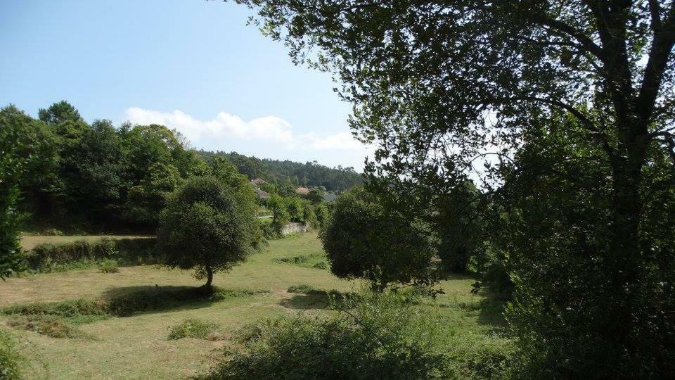 Quinta Da Chanca Paredes de Coura Ngoại thất bức ảnh